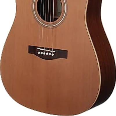 Teton STS105NT-L Cedar Top Dreadnought Left-Handed, Free Shipping image 1