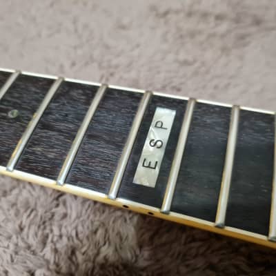 ESP Viper bont on Custom guitars 1995 WR image 13