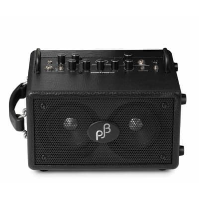 Phil Jones BG-80 Double Four Plus 90-Watt 2x4