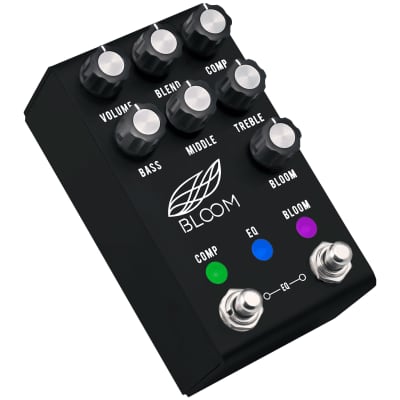 Bloom Midi Black Jackson Audio image 1