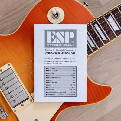 2014 Edwards by ESP Limited Model E-LP-100SD Flame Top w/ USA Seymour Duncan Pickups, Japan imagen 20