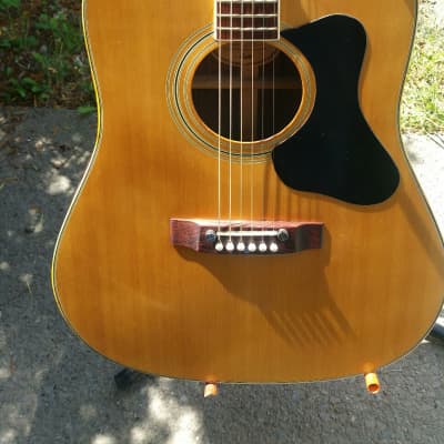 Madeira Guild Acoustic A30R  Back And Sides image 1