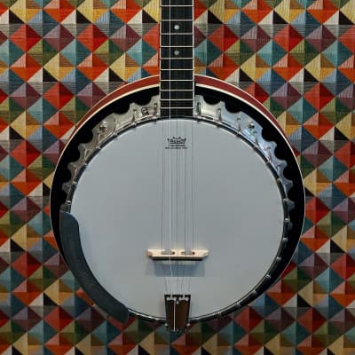 Pilgrim 5 String Bluegrass Banjo 2021 image 1