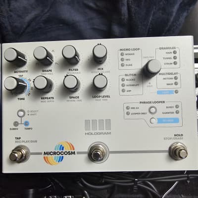 ★限定値下げ・新同 Hologram Electronics Microcosm Microcosm - Hologram Electronics Official Store | Reverb