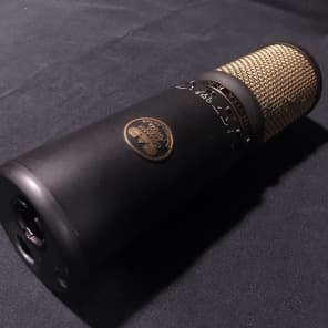 CAD Equitek E300 Large Diaphragm Multipattern Condenser Microphone 