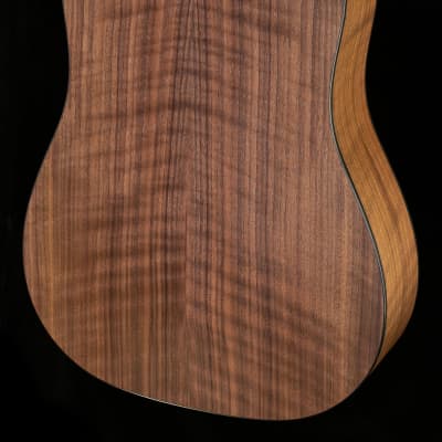 Taylor 110e Dreadnought Walnut/Sitka (037) image 2