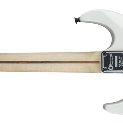 CHARVEL - Warren DeMartini USA Signature Frenchie  Maple Fingerboard  Snow White with Frenchie Graphic - 2865055876 image 2