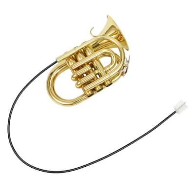 Standard Pocket Trumpet Bb Full Kit With Case & Accessories Bundle image 12