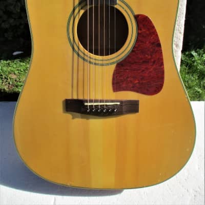 Washburn Artwood  Aw-10  Guitar, 2000 , Natural Finish,  Plays & Sounds Good image 3