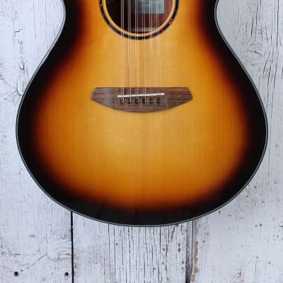 Breedlove ECO Discovery S Concert 12 String Acoustic Electric Guitar Edgeburst for sale