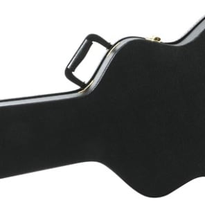 Ibanez AS100C Guitar Case