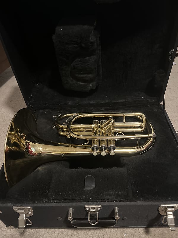 Dynasty Marching F French Horn Mid90s Brass Reverb