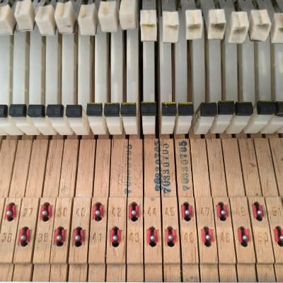 Rhodes MK I (1977) Excellent conditions! image 16