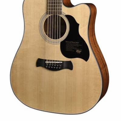 12-saitige Gitarre shops Richwood Master Series D4012