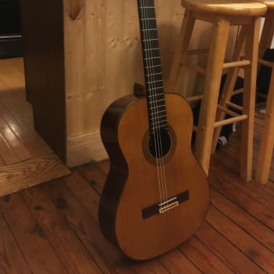 Aria A556 | Reverb