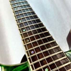 FERNANDES dragonfly ssh 24F フレット新品