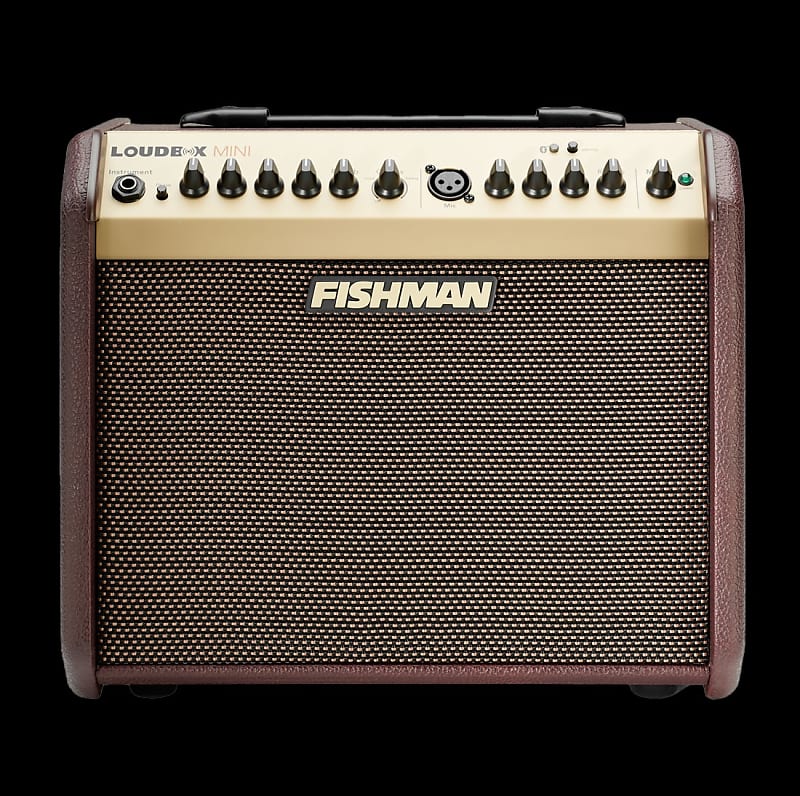 Fishman PRO-LBT-500 Loudbox Mini with Bluetooth 2-Channel 60-Watt 1x6.5" Acoustic Guitar Amp image 1