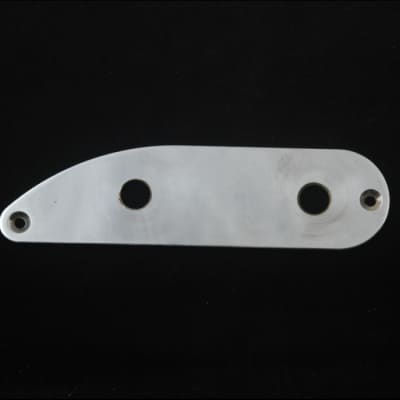 Precision Bass / Holy Grail Control Plate Aged image 2