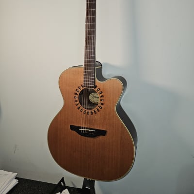 Takamine NP25C Mid-90s - Satin for sale