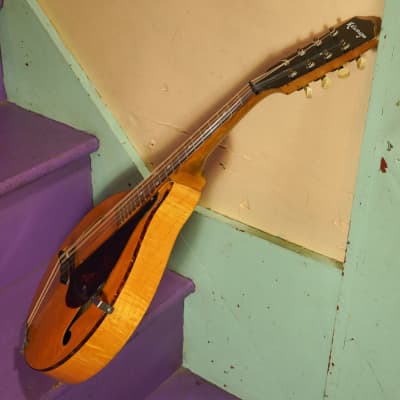 1940s Gibson Kalamazoo KMN-12 Oriole-style A-Style Archtop Mandolin (VIDEO! Fresh Work, Good to Go) image 15