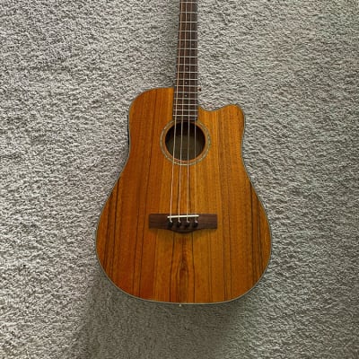Fender Victor Bailey Signature Natural Acoustic Electric 4-String Bass Guitar for sale