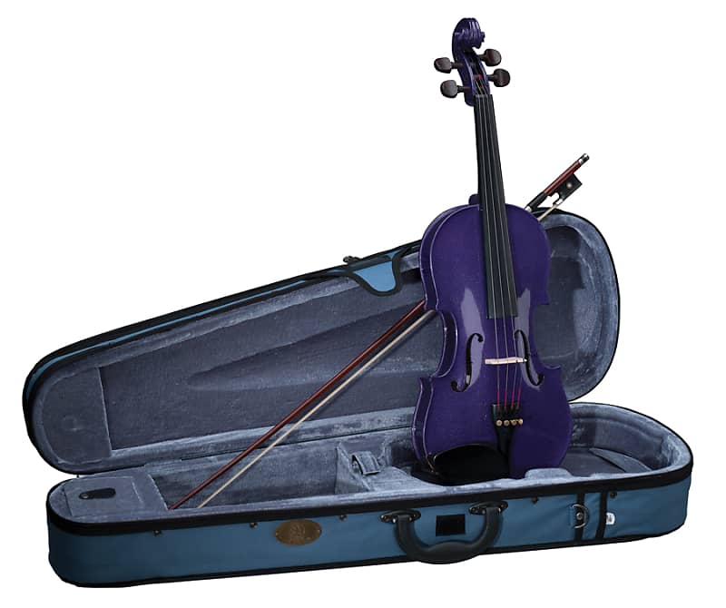 Stentor Harlequin Series 3/4 Size Violin Outfit with Case - Deep Purple image 1