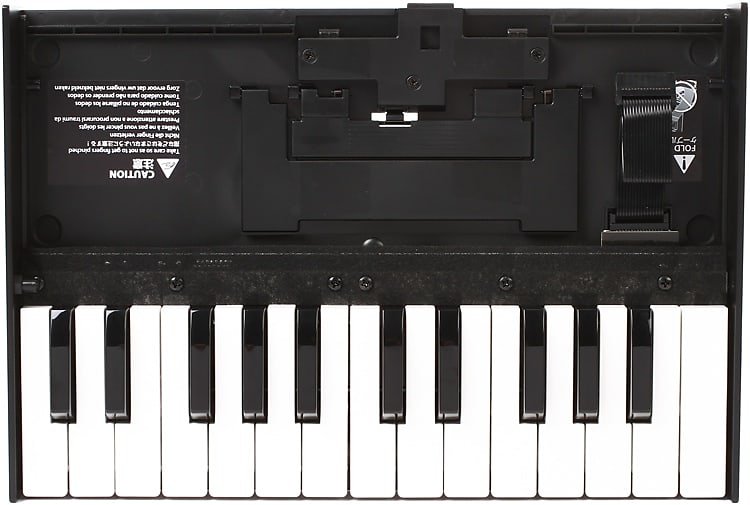 Roland K-25m Boutique Series Keyboard Unit image 1