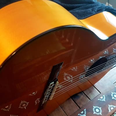 Takamine Flamenco 1999 | Reverb