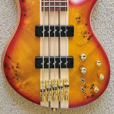 Jackson Pro Series Spectra SBP V Bass Guitar, Transparent Cherry Burst, New Hard Shell Case for sale