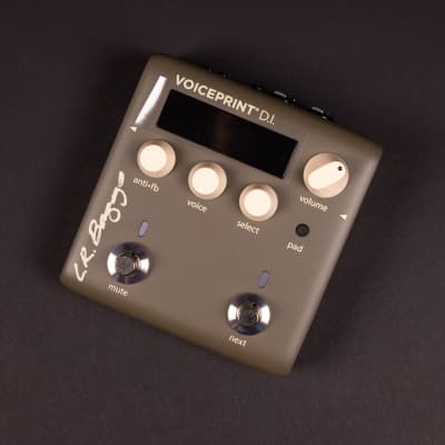 LR Baggs Voiceprint DI Acoustic Guitar Impulse Response
