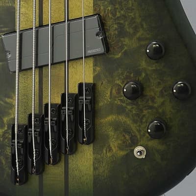 SPECTOR NS Dimension MS 5 (Haunted Moss) [Special price] image 9
