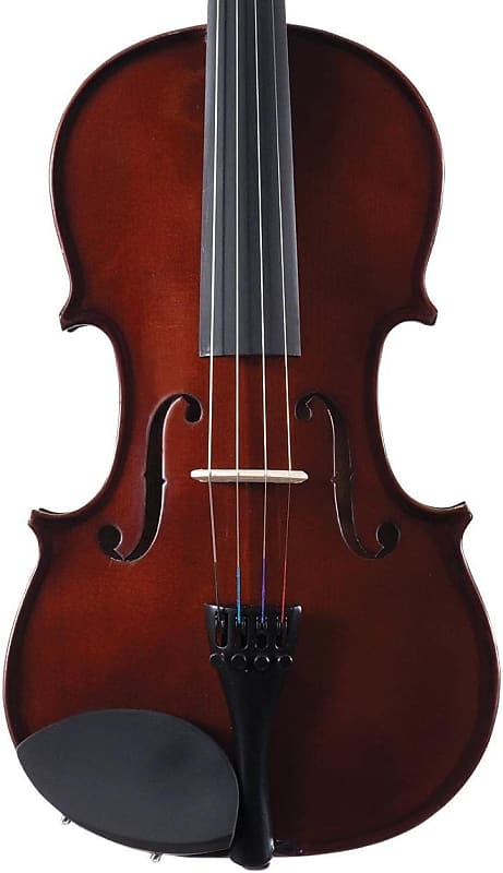 Palatino VN-450 Allegro Violin Outfit, 1/2 Size image 1