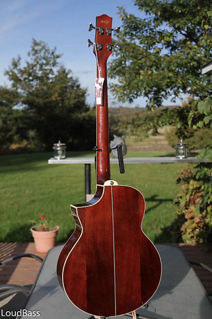 Ibanez ewb20 cheap