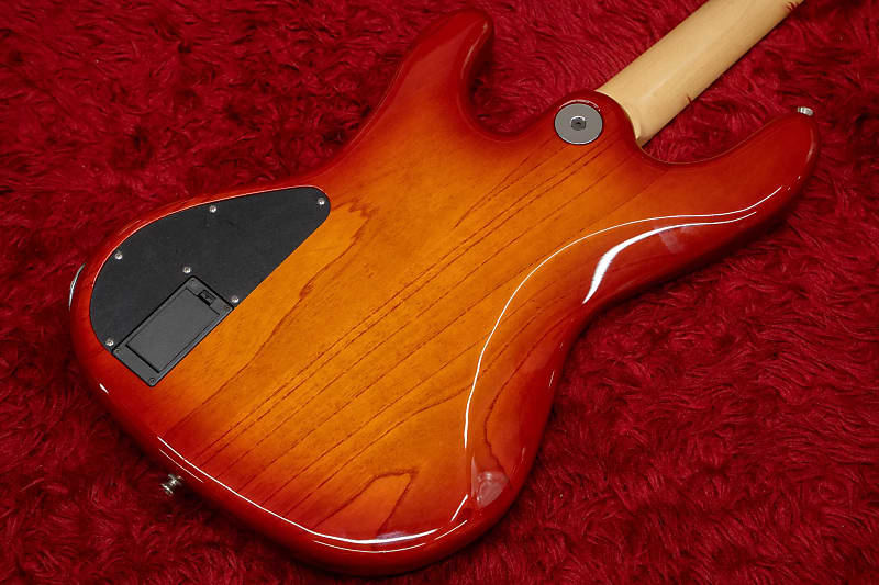 used】Freedom Custom Guitar Research / RHINO-4 Ash/R 2018