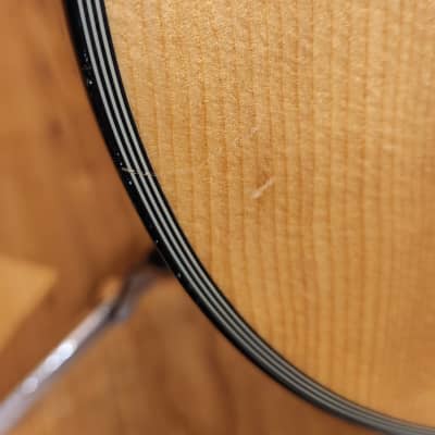 Fender DG-10/12 12-String Acoustic Guitar - Natural image 11