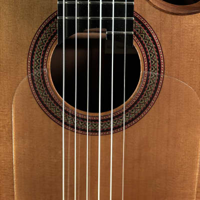 Marshall Brune Hybrid 14-Fret Cutaway Classical Guitar image 9