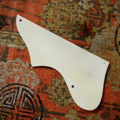 1950 Kay Mandolin White Unlaminated Pickguard Authentic | Reverb