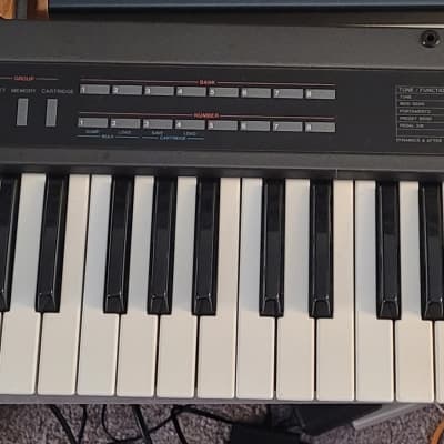 Roland Alpha Juno-2 61-Key Programmable Polyphonic Synthesizer