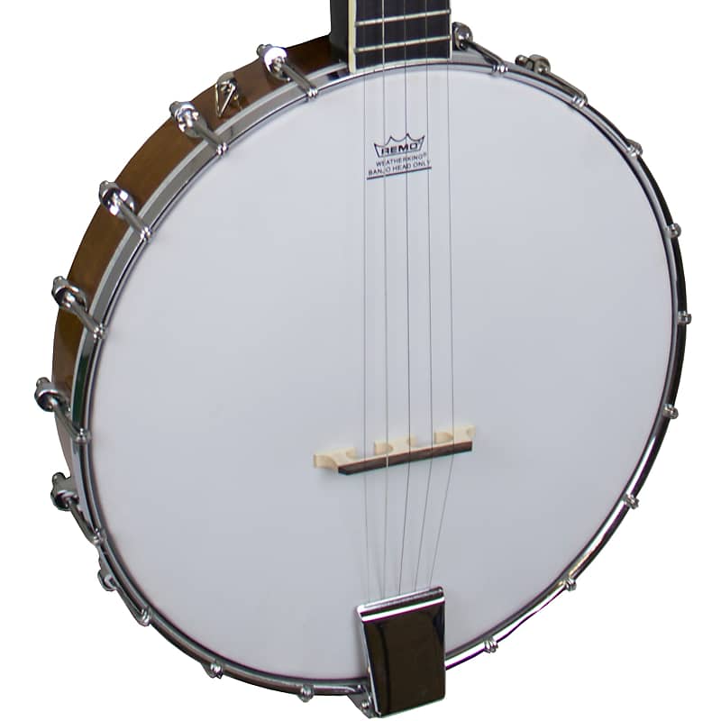Freshman 5-String Open Back Banjo image 1