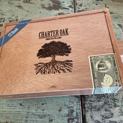 Taconic #211 4 String Electric Cigar Box Guitar - Foundation Charter Oak Grande image 10