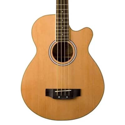 Washburn AB5K-A Acoustic-Electric Bass Guitar for sale