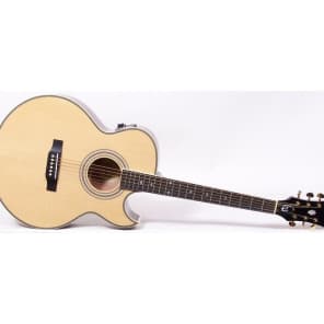 Epiphone PR-5E w/ Deep Florentine Cutaway, eSonic Preamp