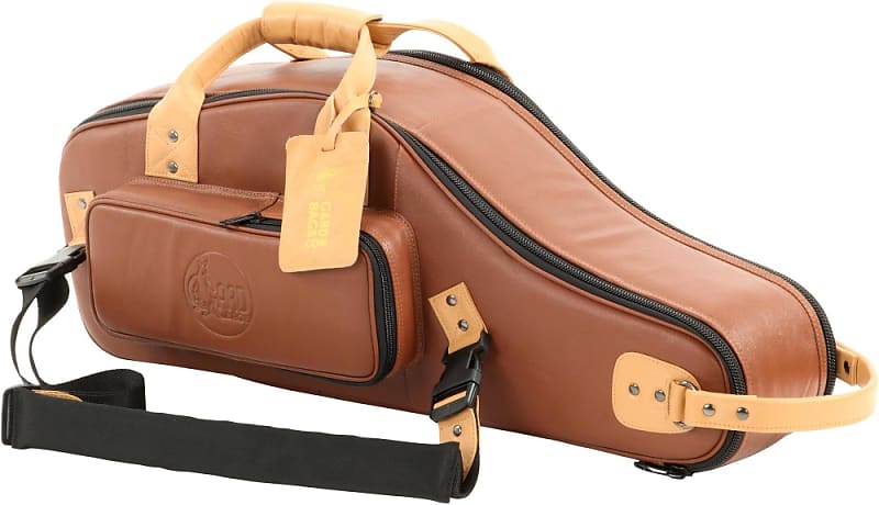 Alto Saxophone Case Sax Gig Bag, 2-In-1 Carrying Backpack Case with Flute  Pocket | eBay