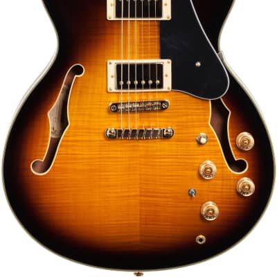 お歳暮 のし Ibanez JSM10 Reverb | Signature Scofield John シューズ