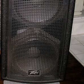 Peavey qw4 store