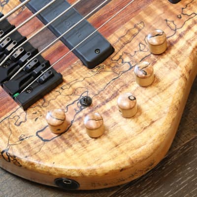 GW Custom DC-1 Neck-Thru 5-String Bass Natural Spalted Maple + OHSC image 5