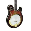 Gold Tone EBM-5 Electric Banjo (Five String, Tobacco Sunburst)