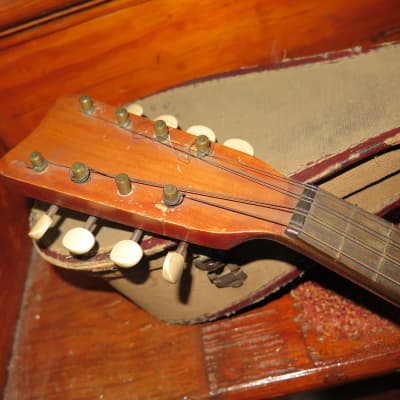vintage antique 1910 Carl Fischer mandolin  LYON + HEALEY w/ orig case americana folk music instruments image 4