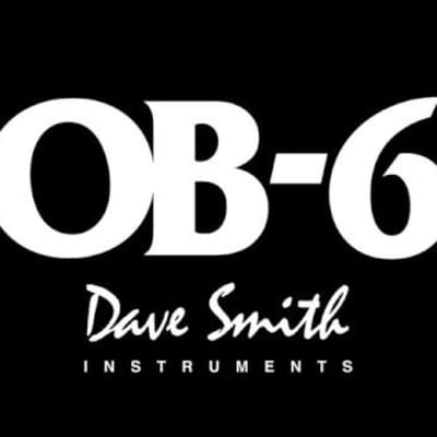 Dave Smith Instruments OB-6 6-Voice Polyphonic Analog Synthesizer (Used/Mint) image 6