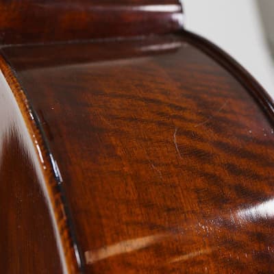 Eastman VC305 Andreas Eastman Step Up Professional Series Cello - 3/4 image 9